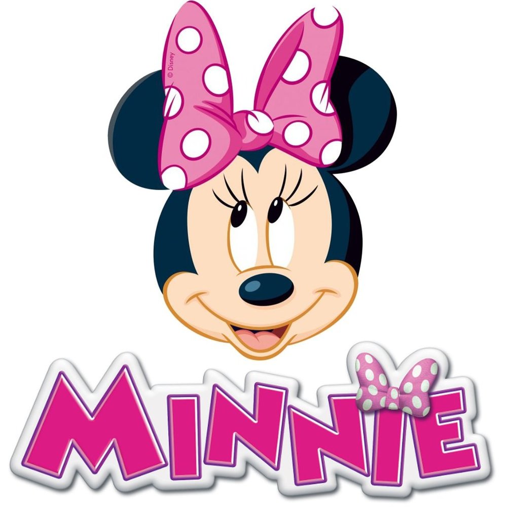 'DISNEY'S MINNIE MOUSE' BOOK BLOCK CARRYING CASE & BOARD BOOK 12 PIECE SET - Picture 10 of 16